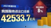 国产精品自在线,探索国内影视作品的魅力与风采